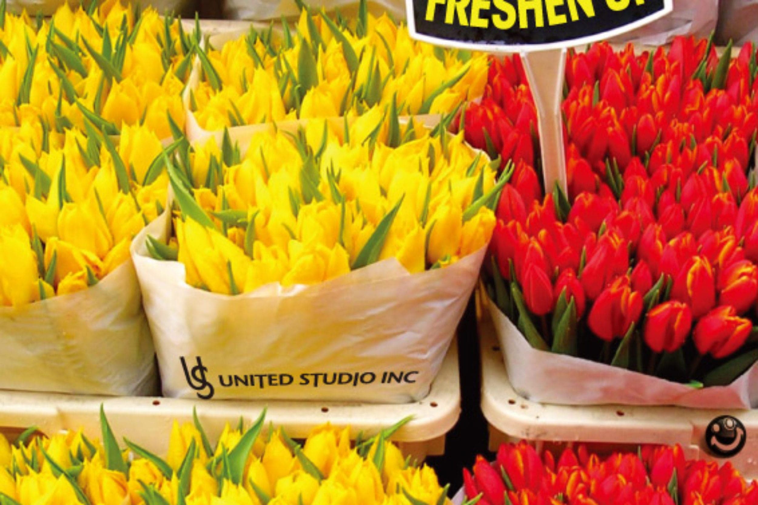 FRESHEN UP 2011