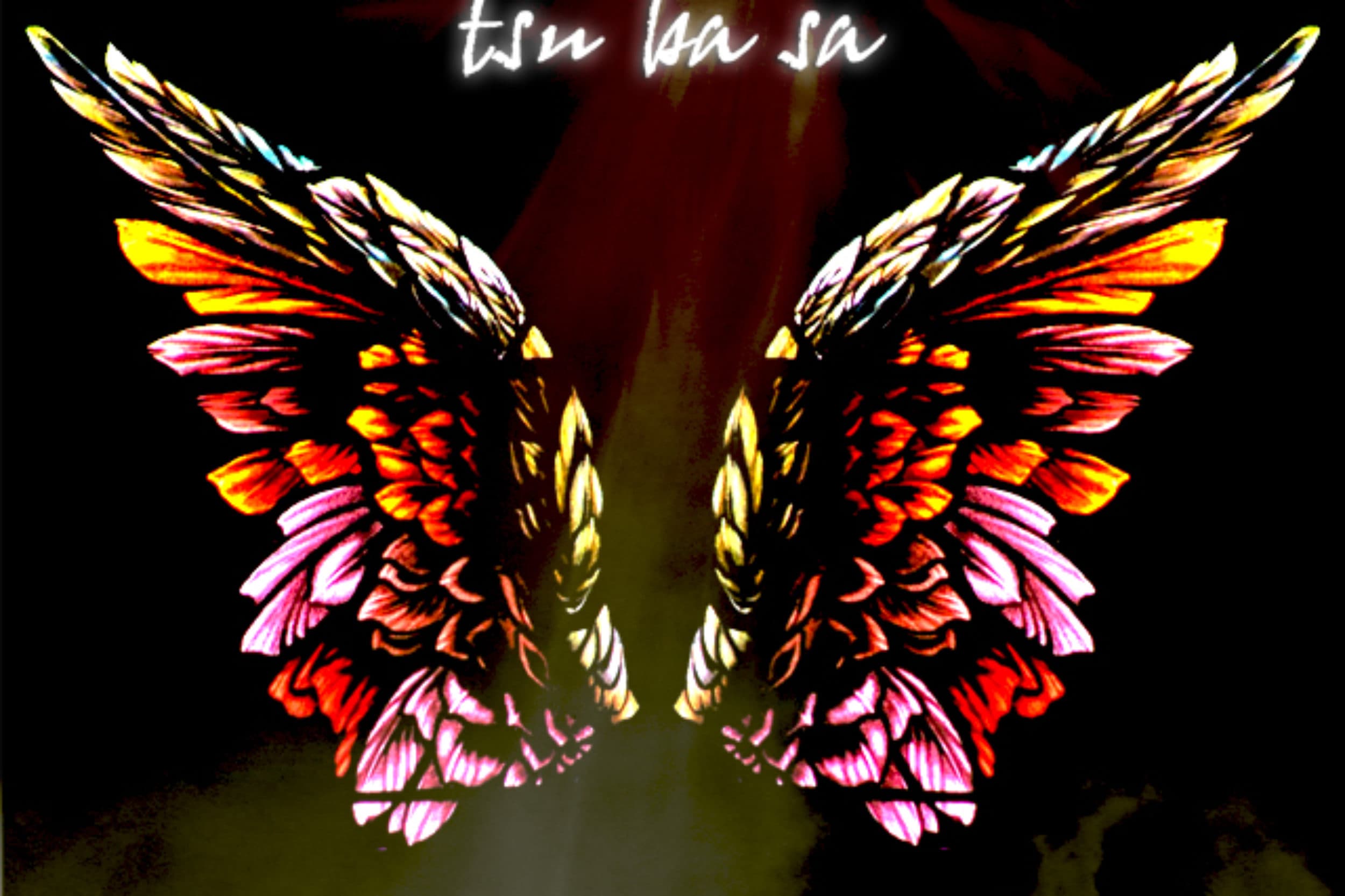 Velvet Headz 1st single released "Tsu Ba Sa ~ The Wings To Fly"