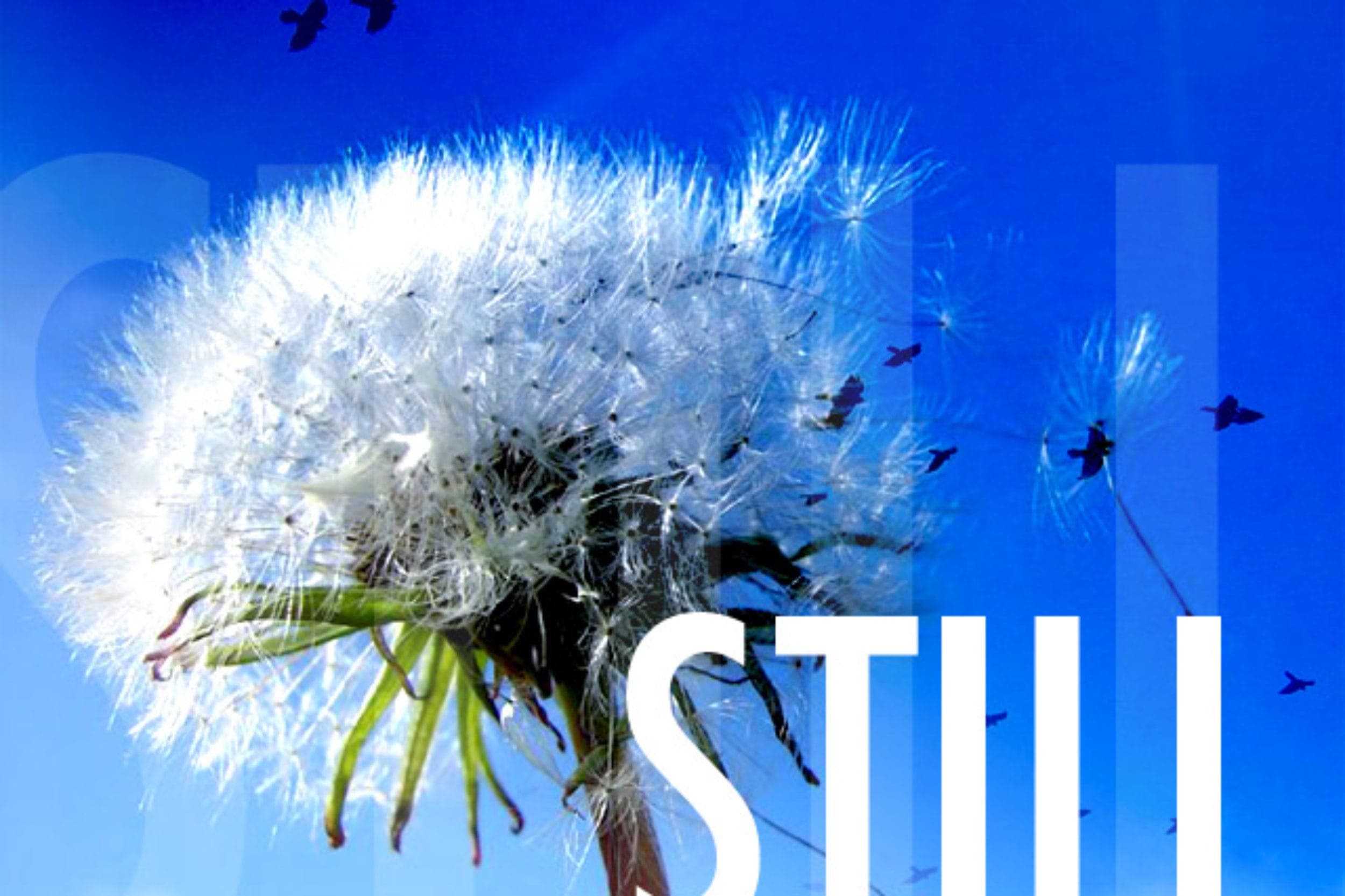 Velvet Headz 2nd single :: STILL