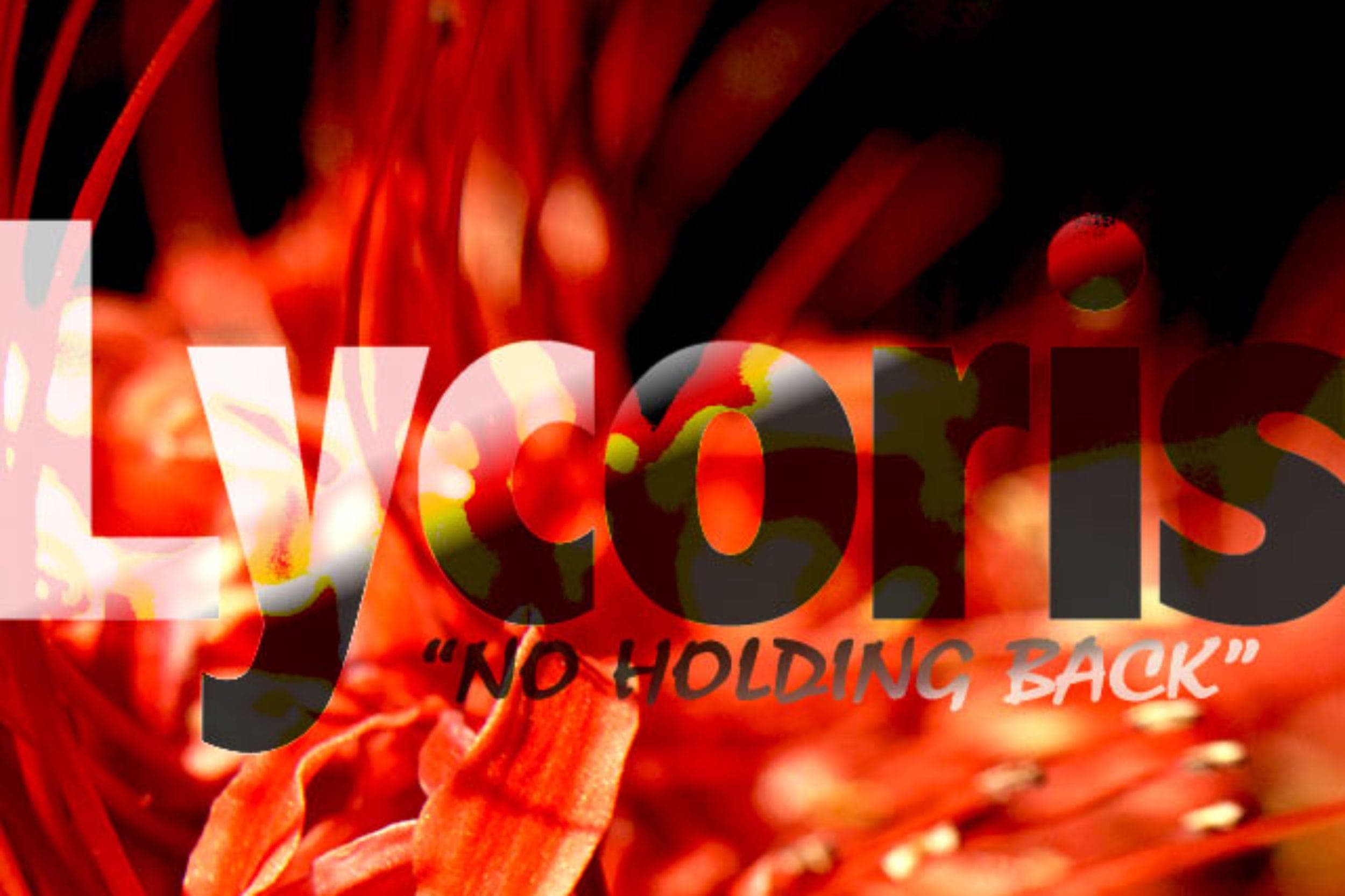 VH 6th single :: Lycoris